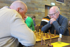 Limianz-Rapid-2015-11