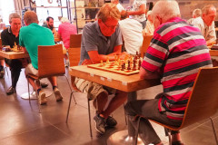 Zomersnelschaaktoernooi 2018